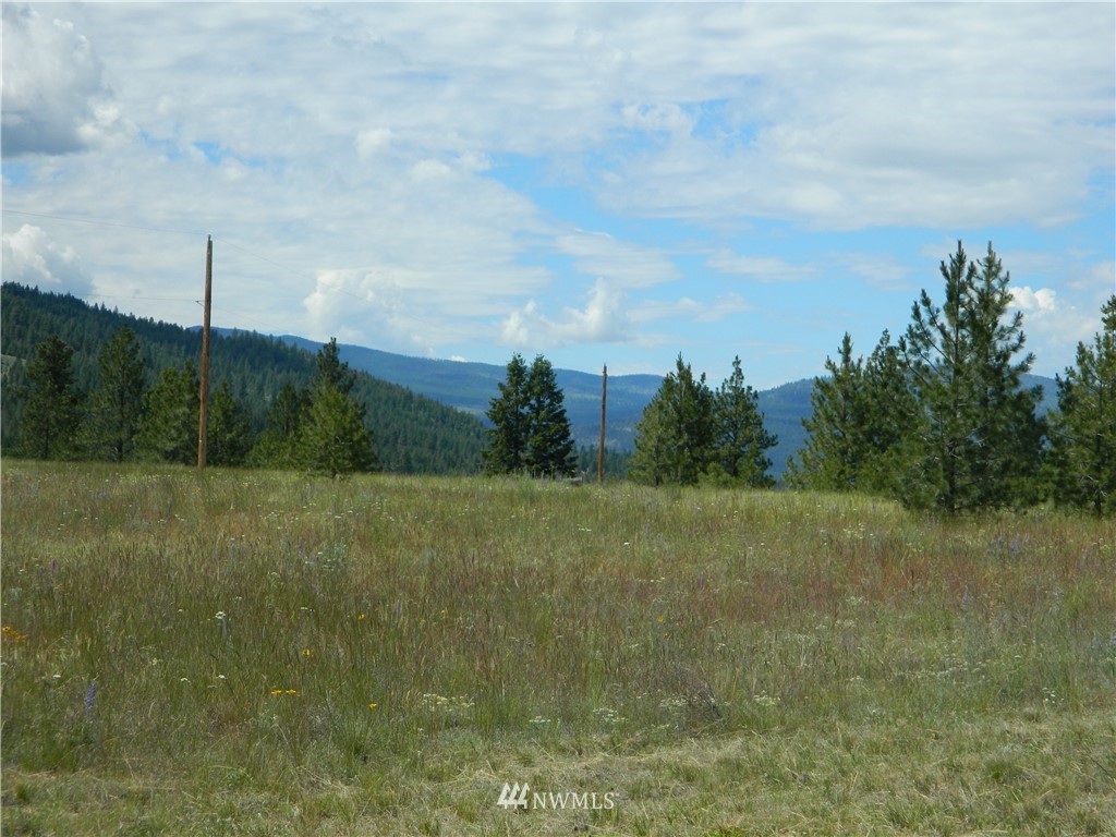 72 Hanging Rock Road Tonasket, WA 98855 - Photo 12 of 18 Gallery Image 12