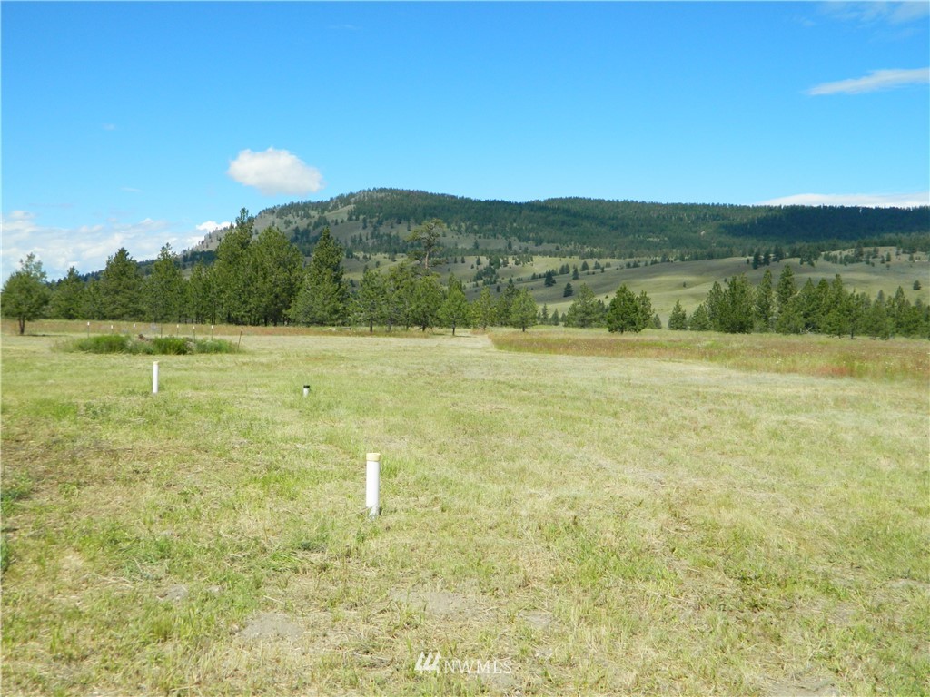 72 Hanging Rock Road Tonasket, WA 98855 - Photo 7 of 18 Gallery Image 7