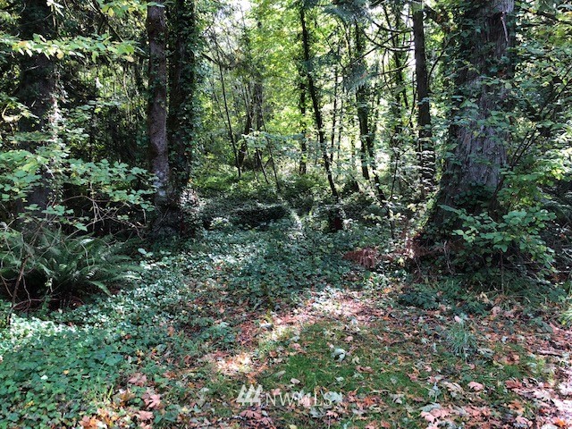 19112 Whiteman Cove Road Southwest Longbranch, WA 98351 - Photo 5 of 5