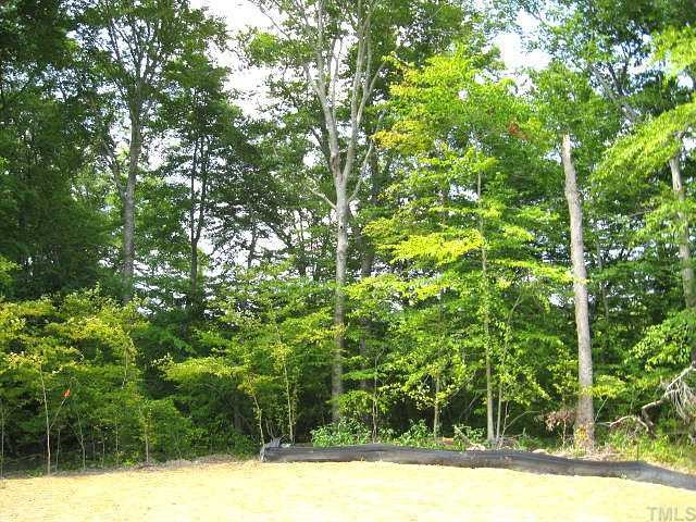 2529 Friendly Trail Raleigh, NC 27610 - Photo 12 of 12 a view of a yard