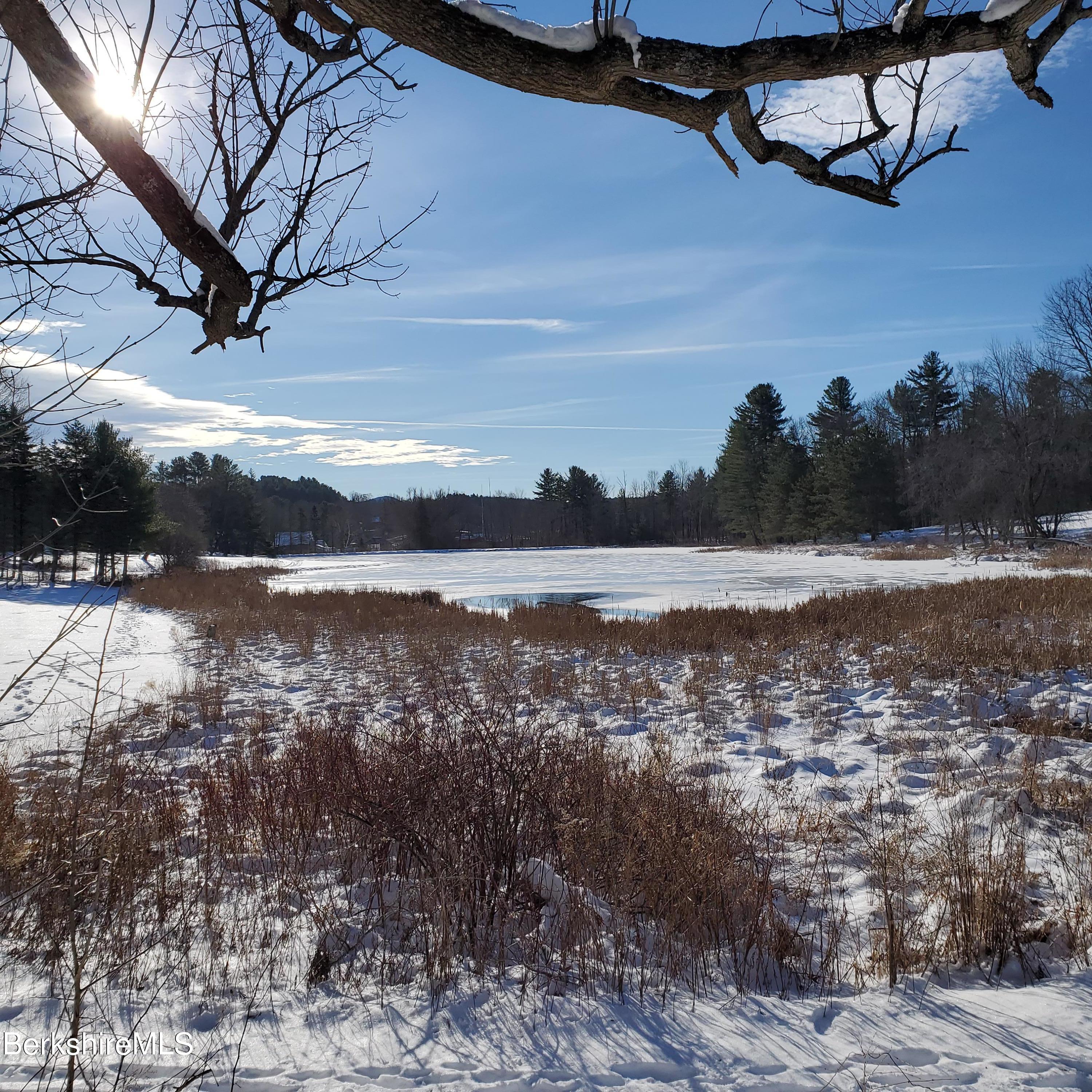73 Rossiter Road Richmond, MA 01254 - Photo 45 of 45 20201223_101022