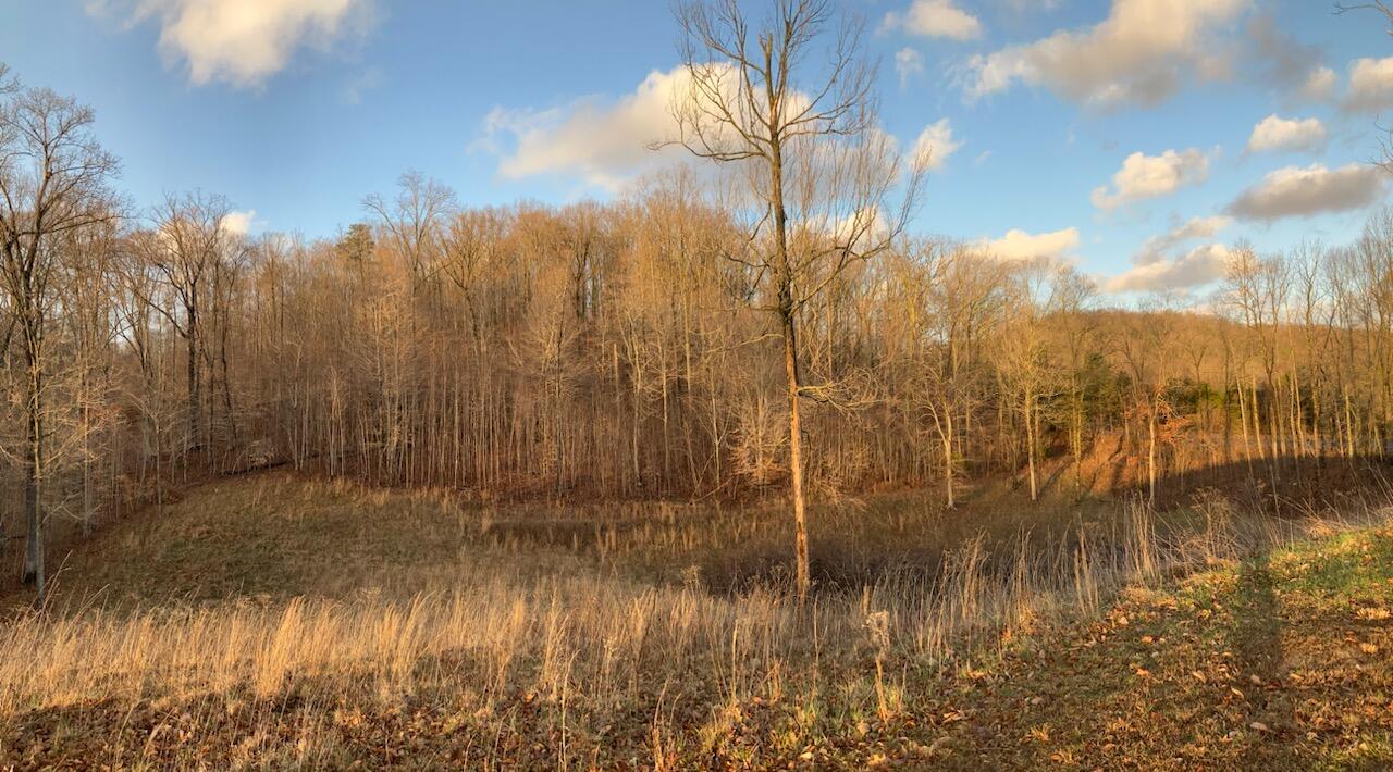 Tbd Rackum Road Thorn Hill, TN 37881 - Photo 1 of 2 33782