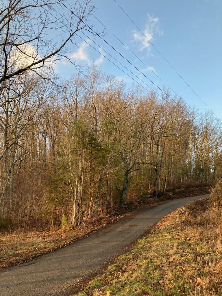 Tbd Rackum Road Thorn Hill, TN 37881 - Photo 2 of 2 33785