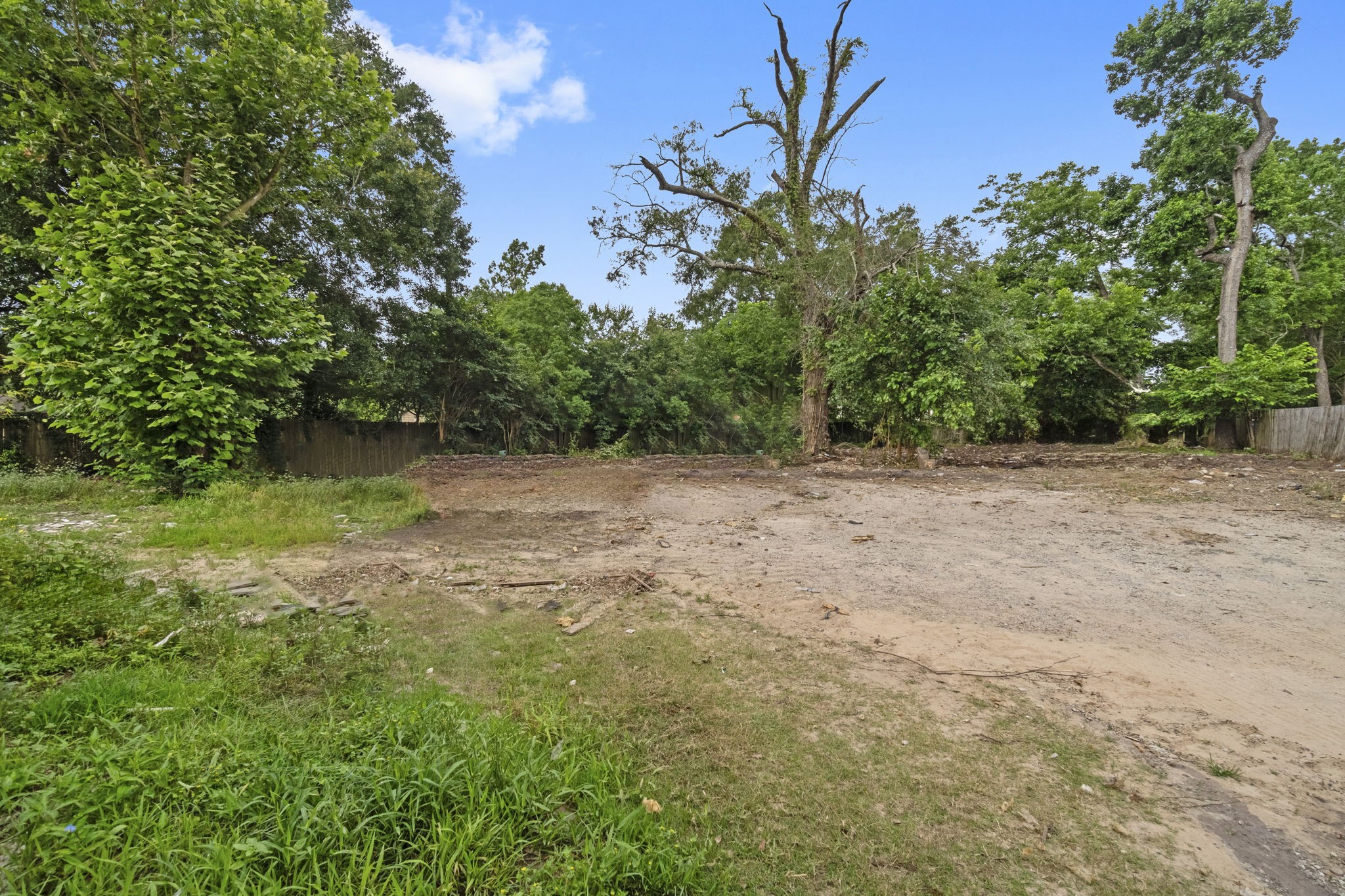 1615 Gilmore Street Conroe, TX 77301 - Photo 3 of 16 a view of backyard with green space
