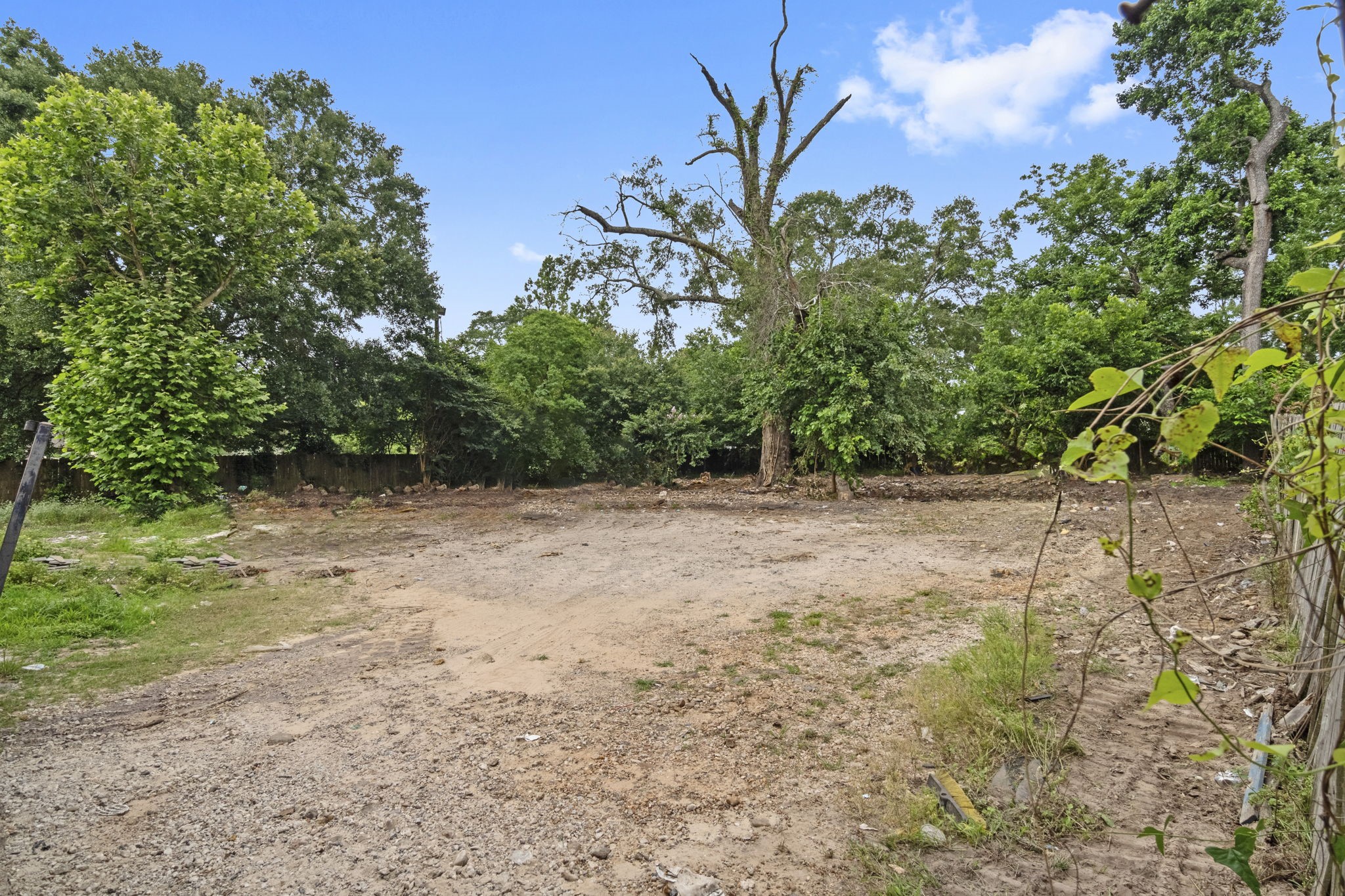 1615 Gilmore Street Conroe, TX 77301 - Photo 4 of 16 a view of backyard with green space