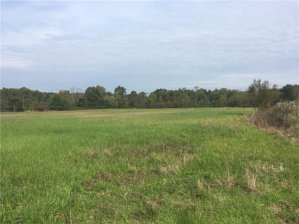 0 Frogtown Road Hermitage, PA 16148 - Photo 2 of 2