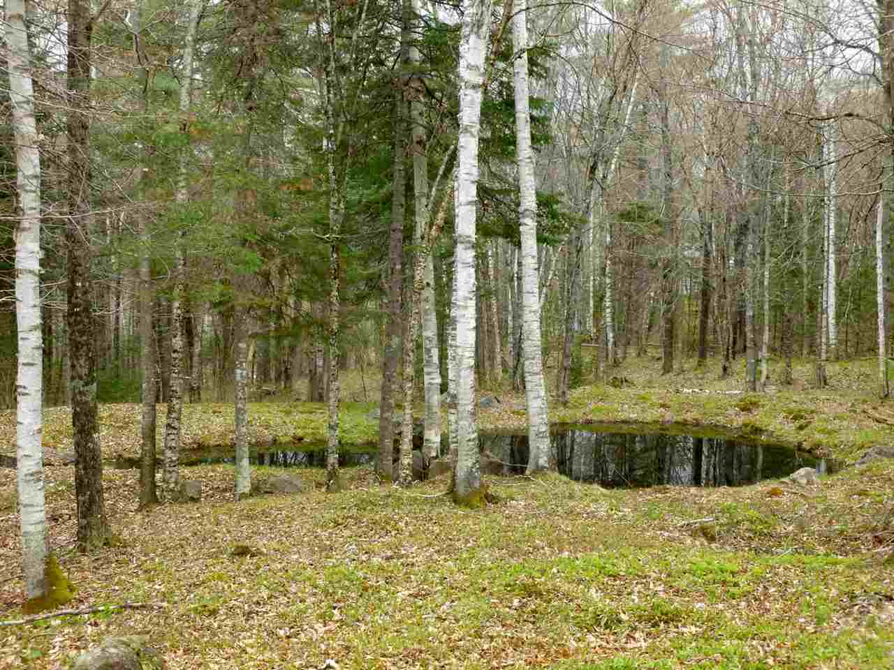 98 Franconia Mountains Road Franconia, NH 03580 - Photo 5 of 33