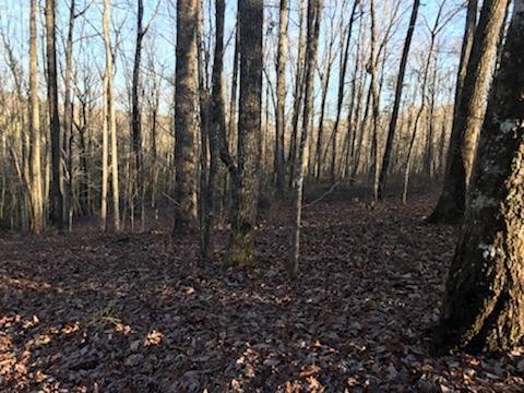 552 Wilderness Way Dunlap, TN 37327 - Photo 5 of 8 Gallery Image 5