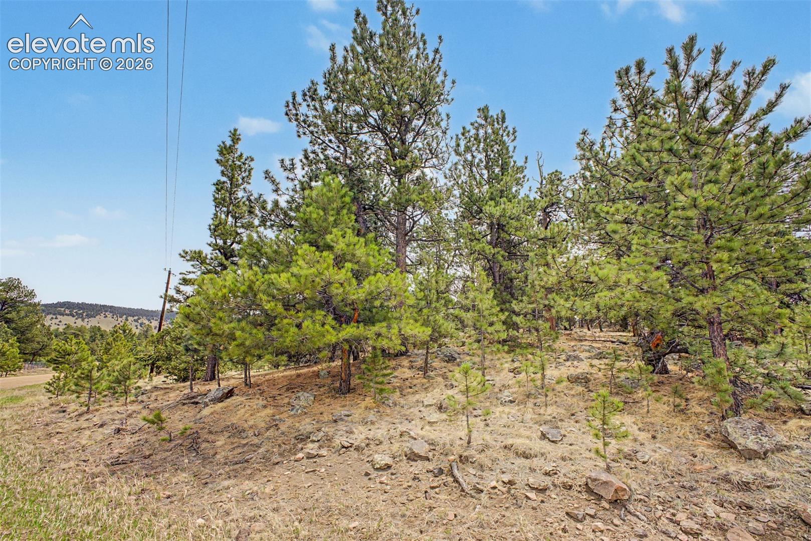 Ranger Station Road Florissant, CO 80816 - Photo 26 of 36 Gallery Image 26