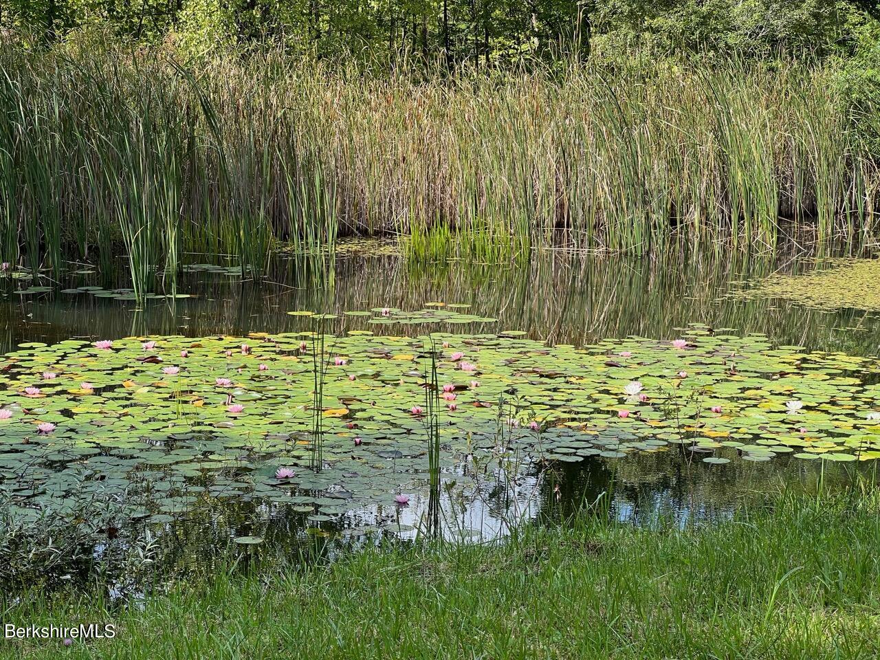 72 Brunell Avenue Lenox, MA 01240 - Photo 27 of 27 a view of lake view
