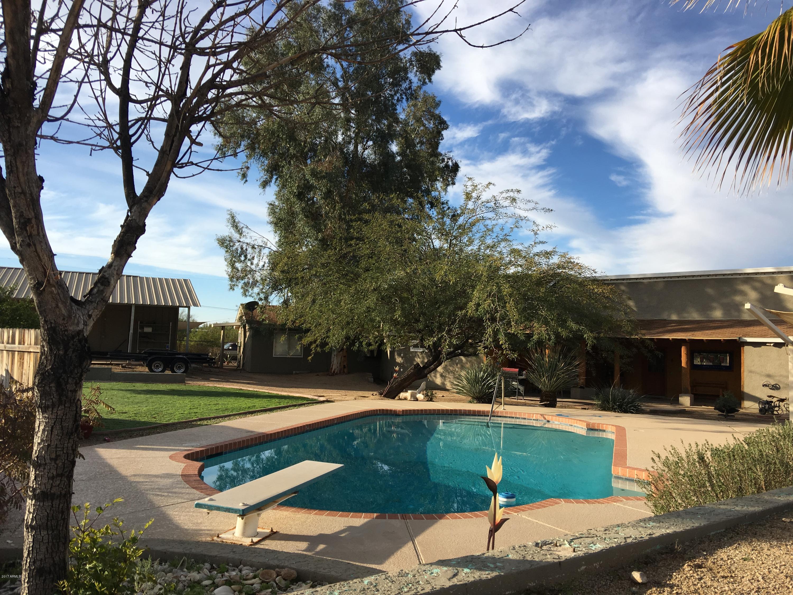 partial backyard pic