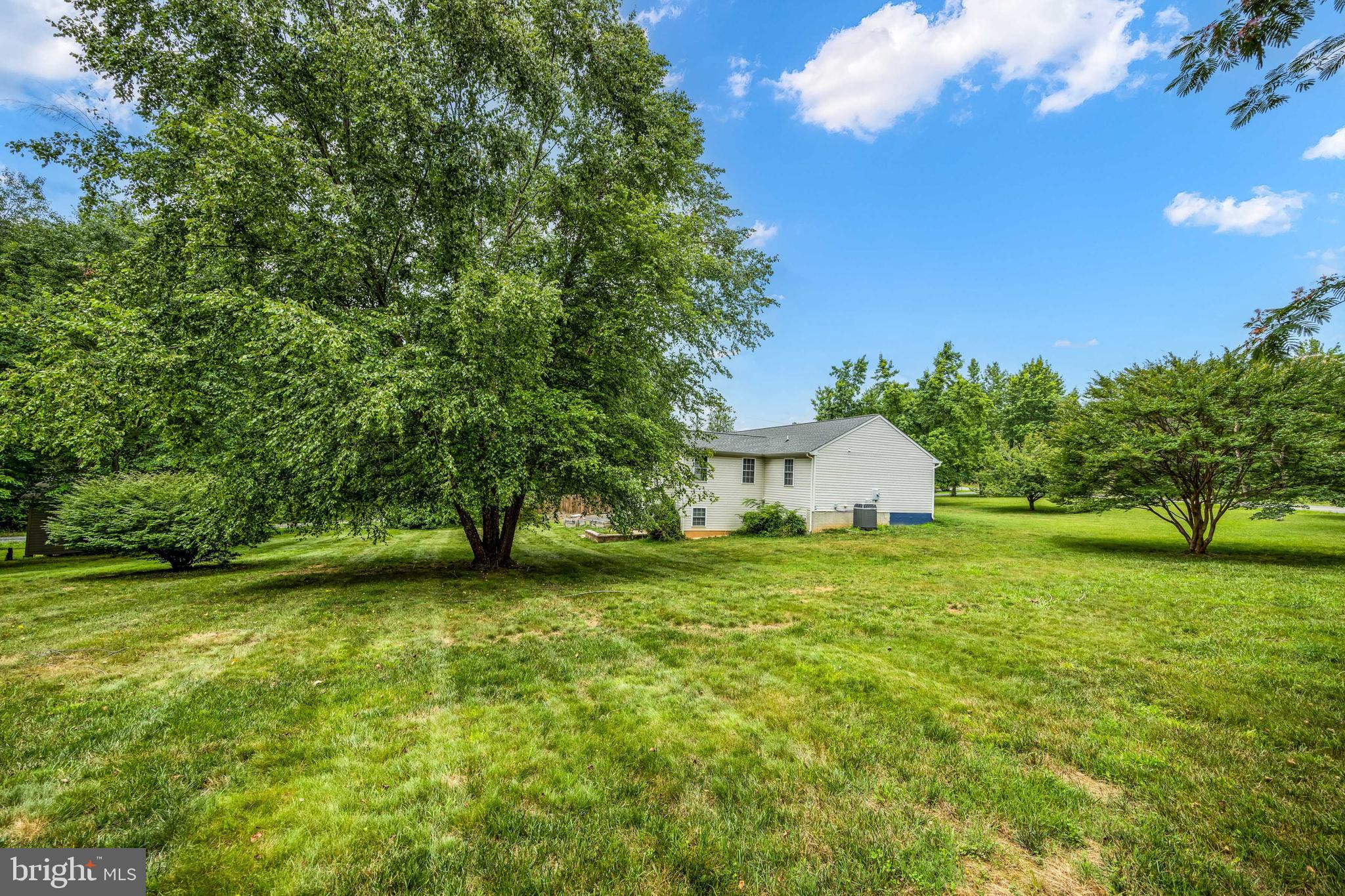 465 Spotted Tavern Road Fredericksburg, VA 22406 - Photo 35 of 38