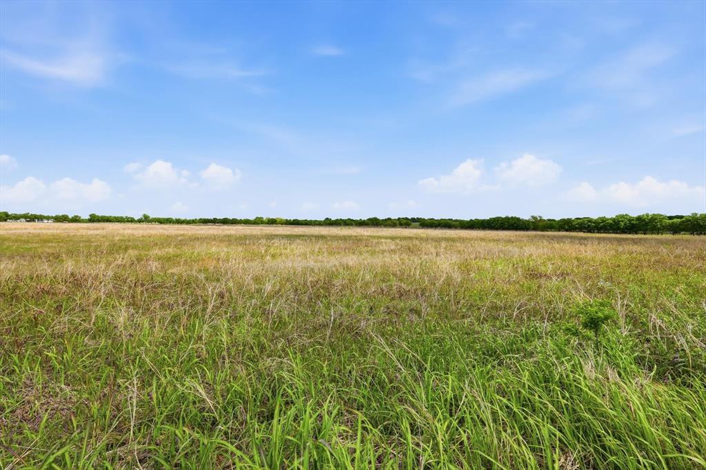 0 Fm 455 Decatur, TX 76234 - Photo 17 of 20 Expansive open field featuring varied natural grasses under a broad blue sky