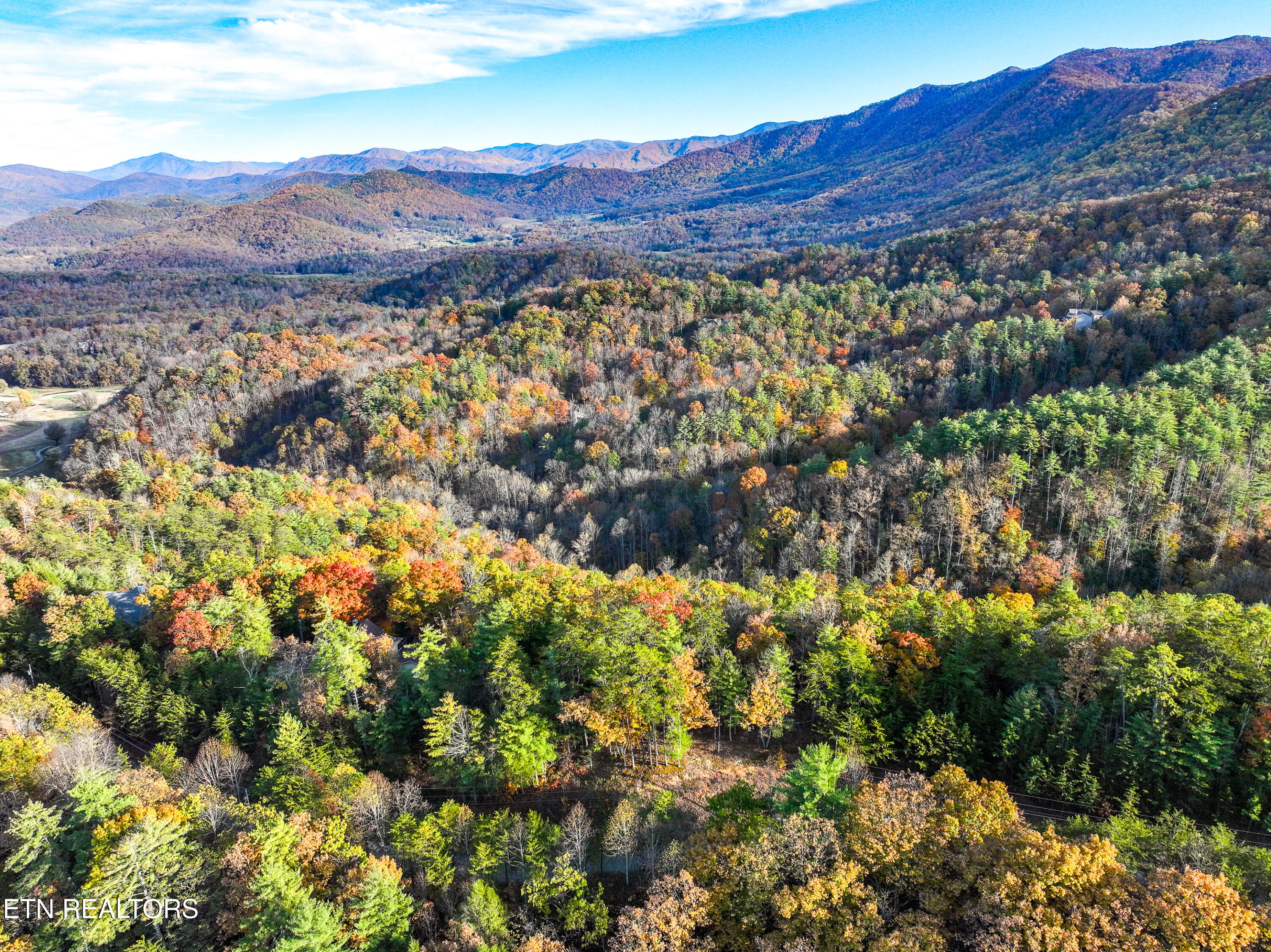 Bear Den Road Townsend, TN 37882 - Photo 2 of 23 DJI_0949