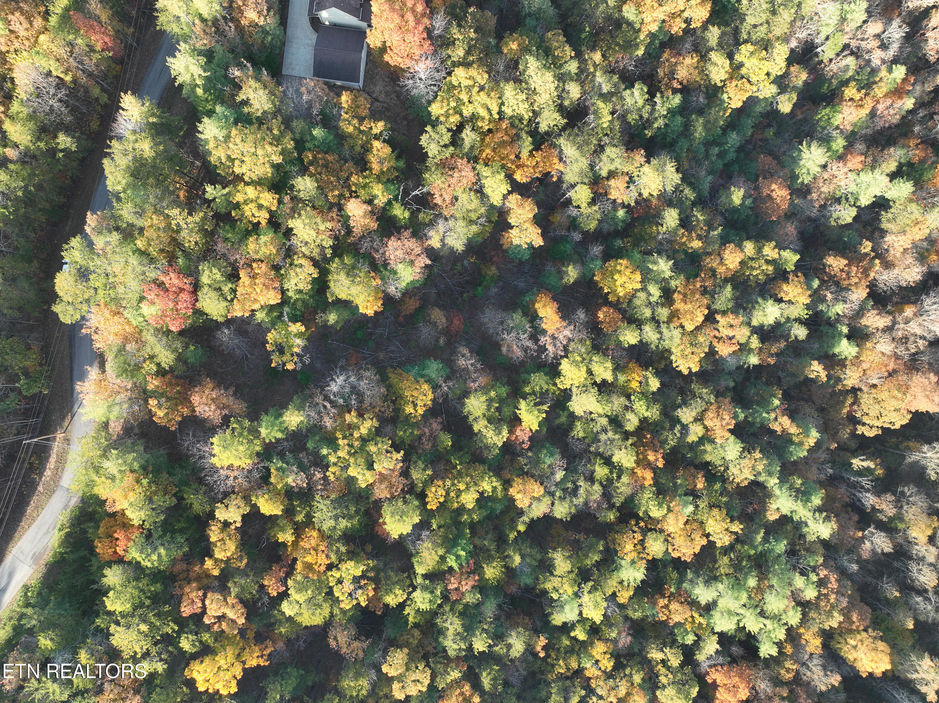 Bear Den Road Townsend, TN 37882 - Photo 4 of 23 DJI_0960