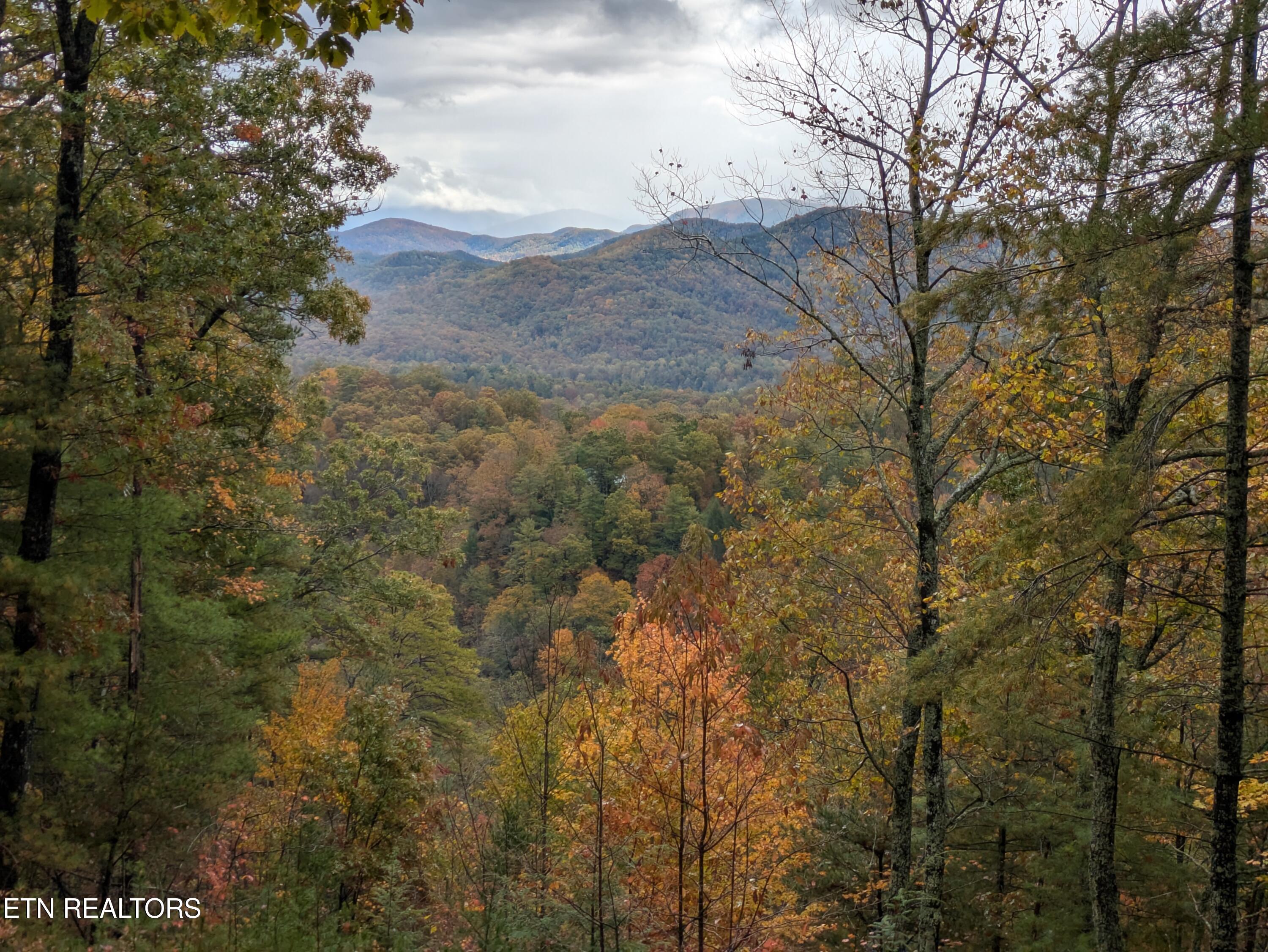 Bear Den Road Townsend, TN 37882 - Photo 7 of 23 PXL_20251029_154755583