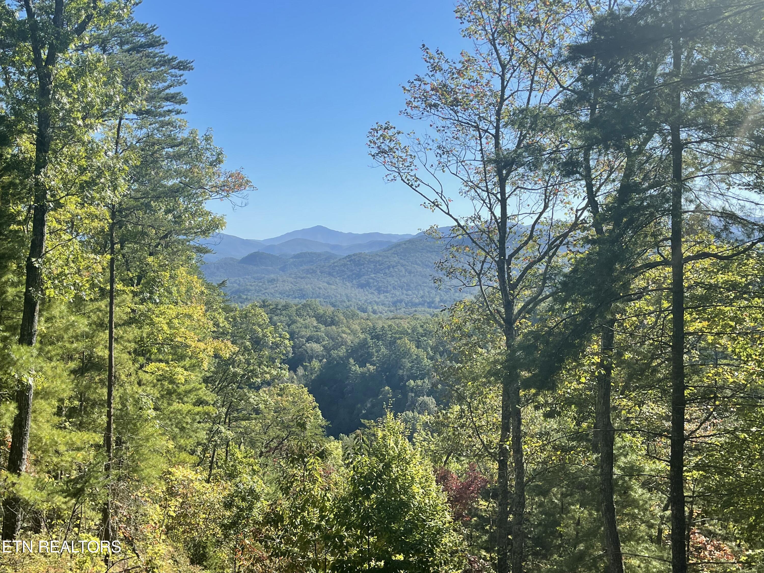 Bear Den Road Townsend, TN 37882 - Photo 8 of 23 IMG_4618