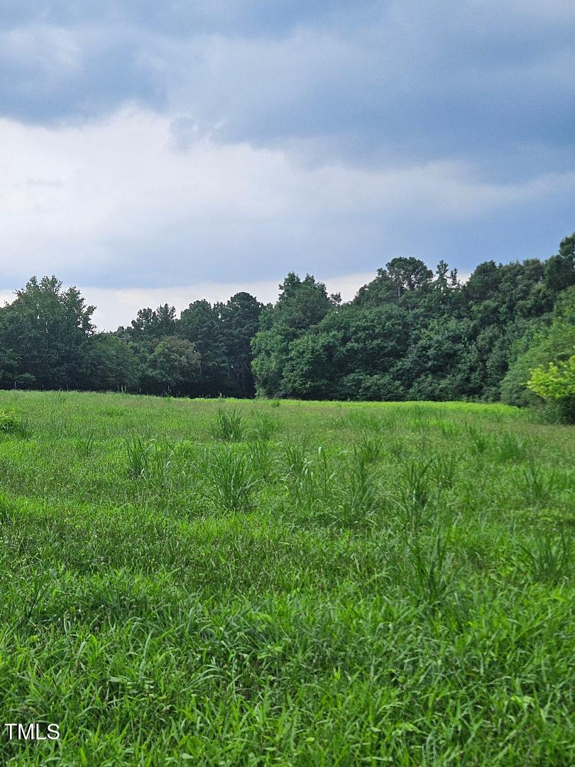 844 East Chrisco Road Seagrove, NC 27341 - Photo 9 of 10 chriscoe.field8