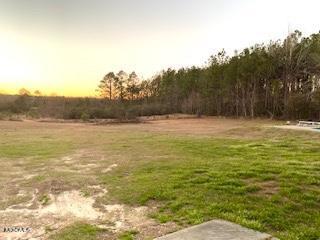 166 Holland Road Lucedale, MS 39452 - Photo 3 of 3 Back yard