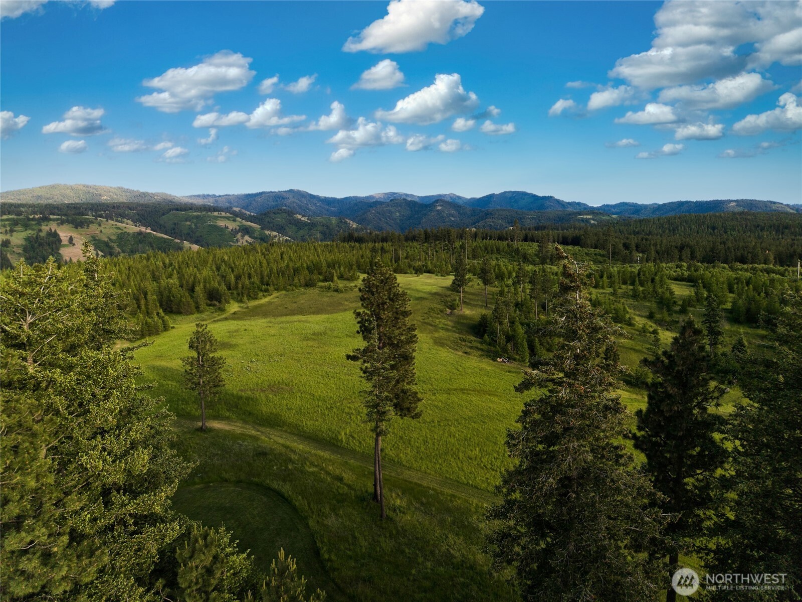 1335 Payne Hollow Road Dayton, WA 99328 - Photo 17 of 28