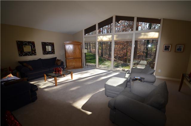 Living Room with Lots of Natural Light and Fireplace 