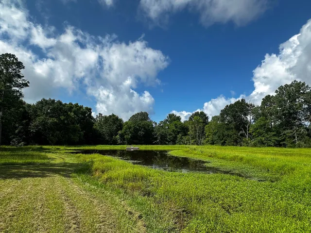 a view of a golf course with a lake