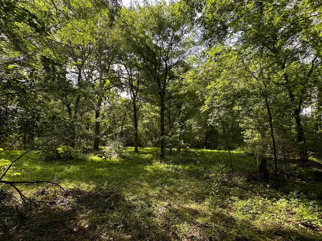 a big yard with lots of green space and deers