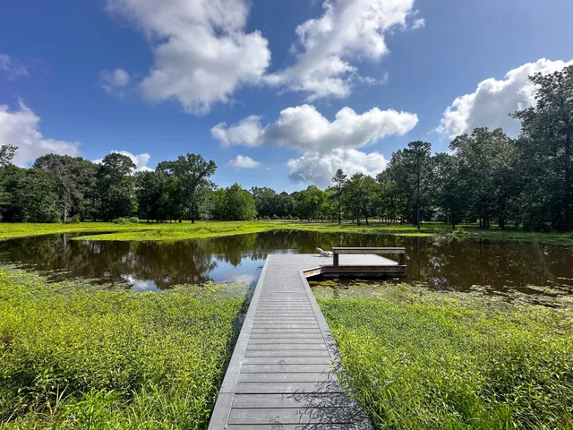 a view of a lake with a garden