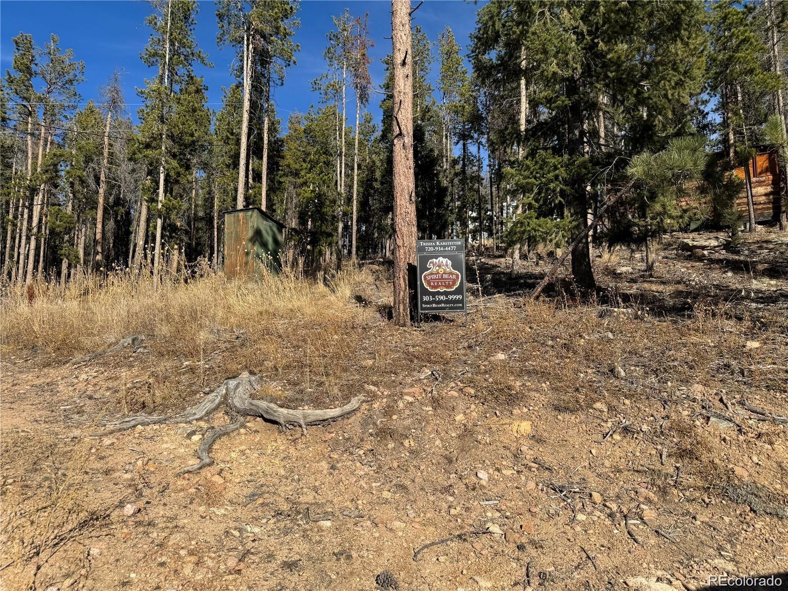 Park Road Conifer, CO 80433 - Photo 4 of 9 Gallery Image 4