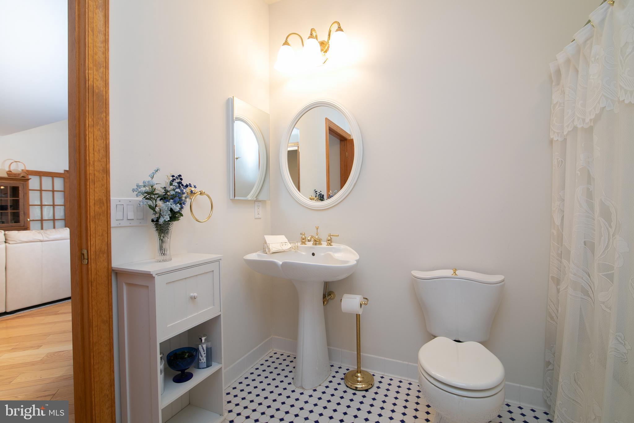290 Hopewell Road Medford, NJ 08055 - Photo 33 of 64 main floor bathroom