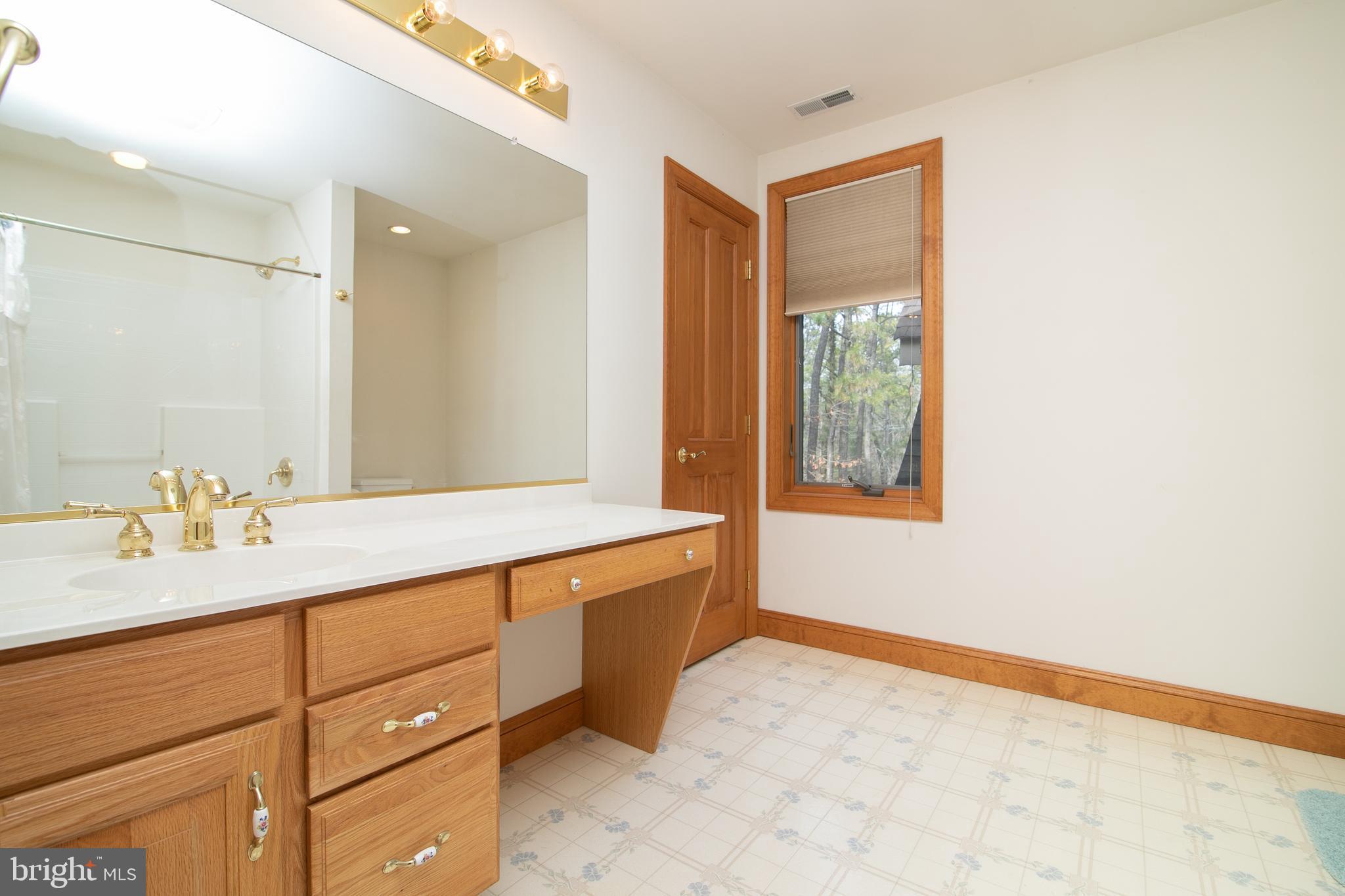 290 Hopewell Road Medford, NJ 08055 - Photo 49 of 64 Hall bathroom