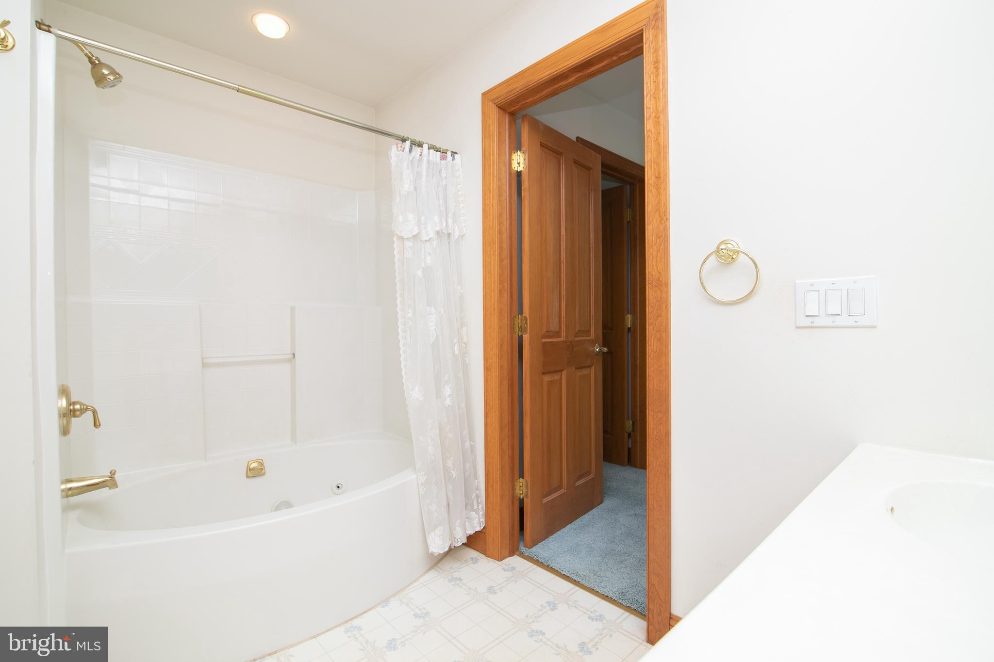 290 Hopewell Road Medford, NJ 08055 - Photo 50 of 64 Hall bathroom