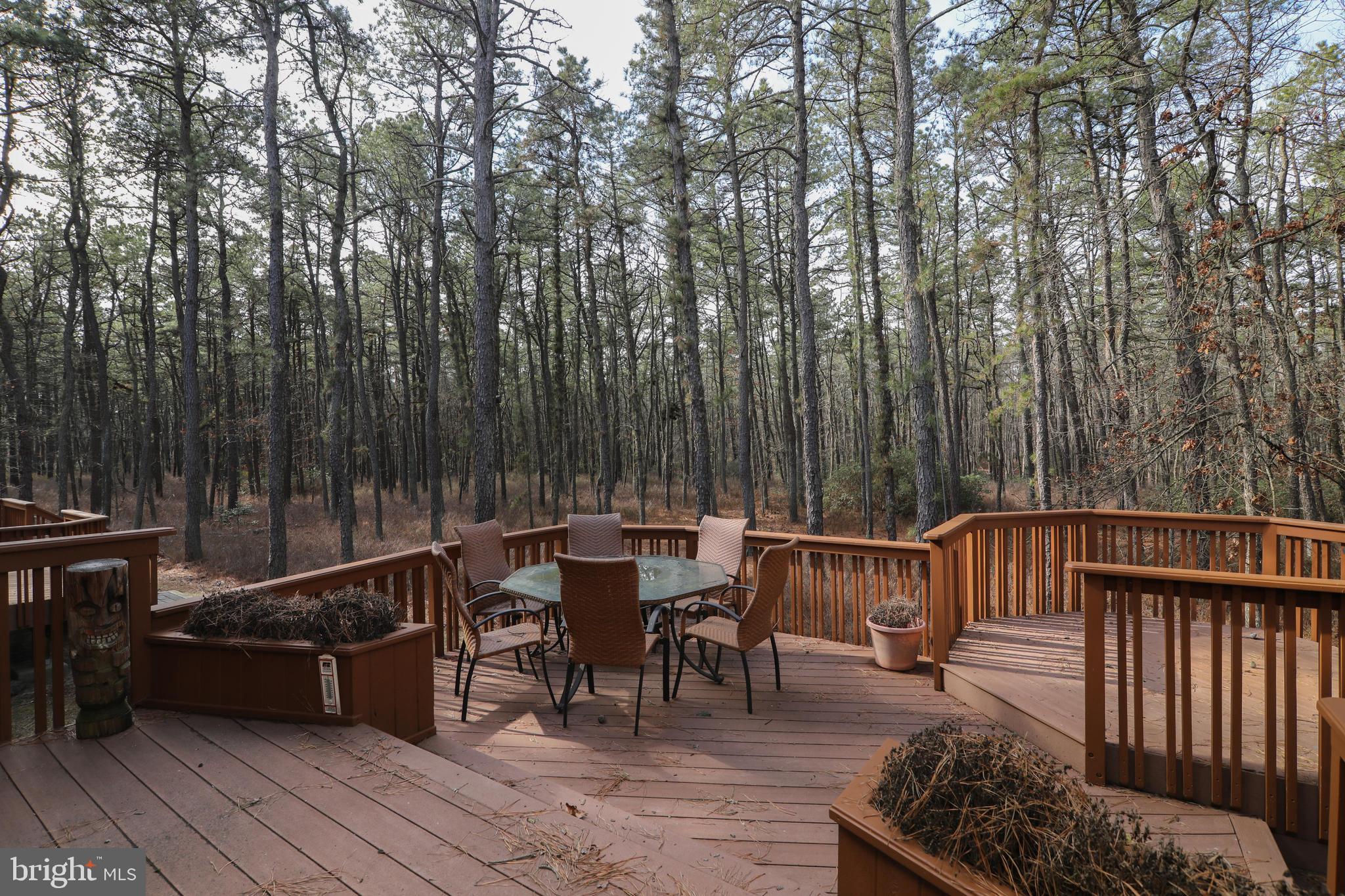 290 Hopewell Road Medford, NJ 08055 - Photo 62 of 64 TIERED DECK