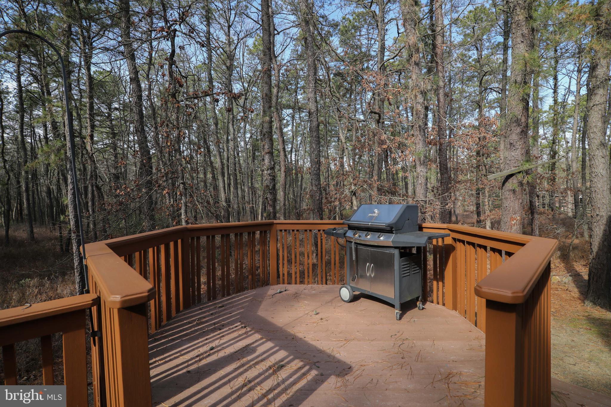 290 Hopewell Road Medford, NJ 08055 - Photo 63 of 64 ANOTHER SECTION OF THE DECK