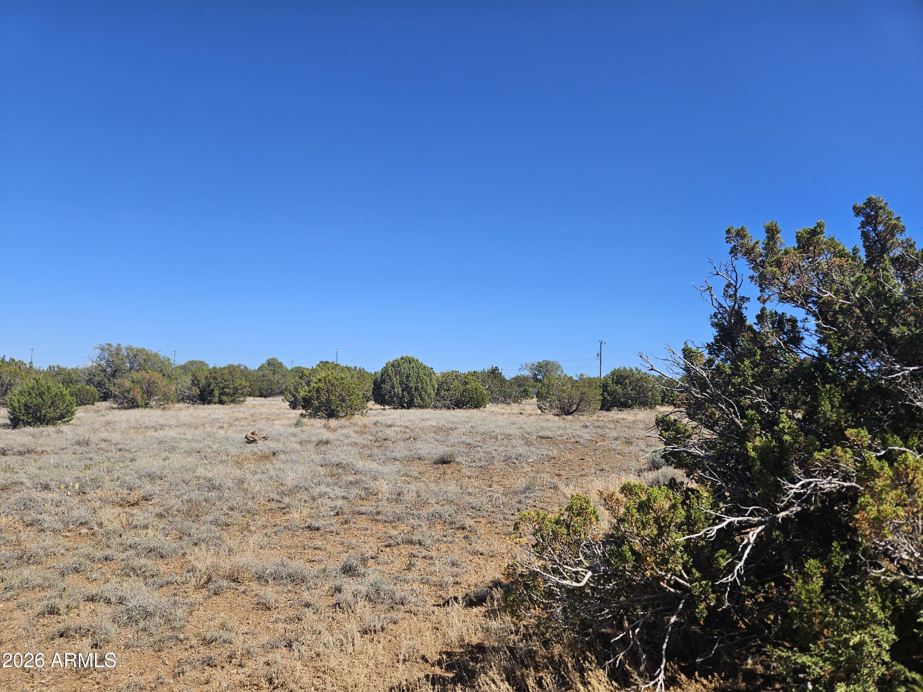 2429 Bourdon Ranch Road, Unit F Show Low, AZ 85901 - Photo 3 of 11