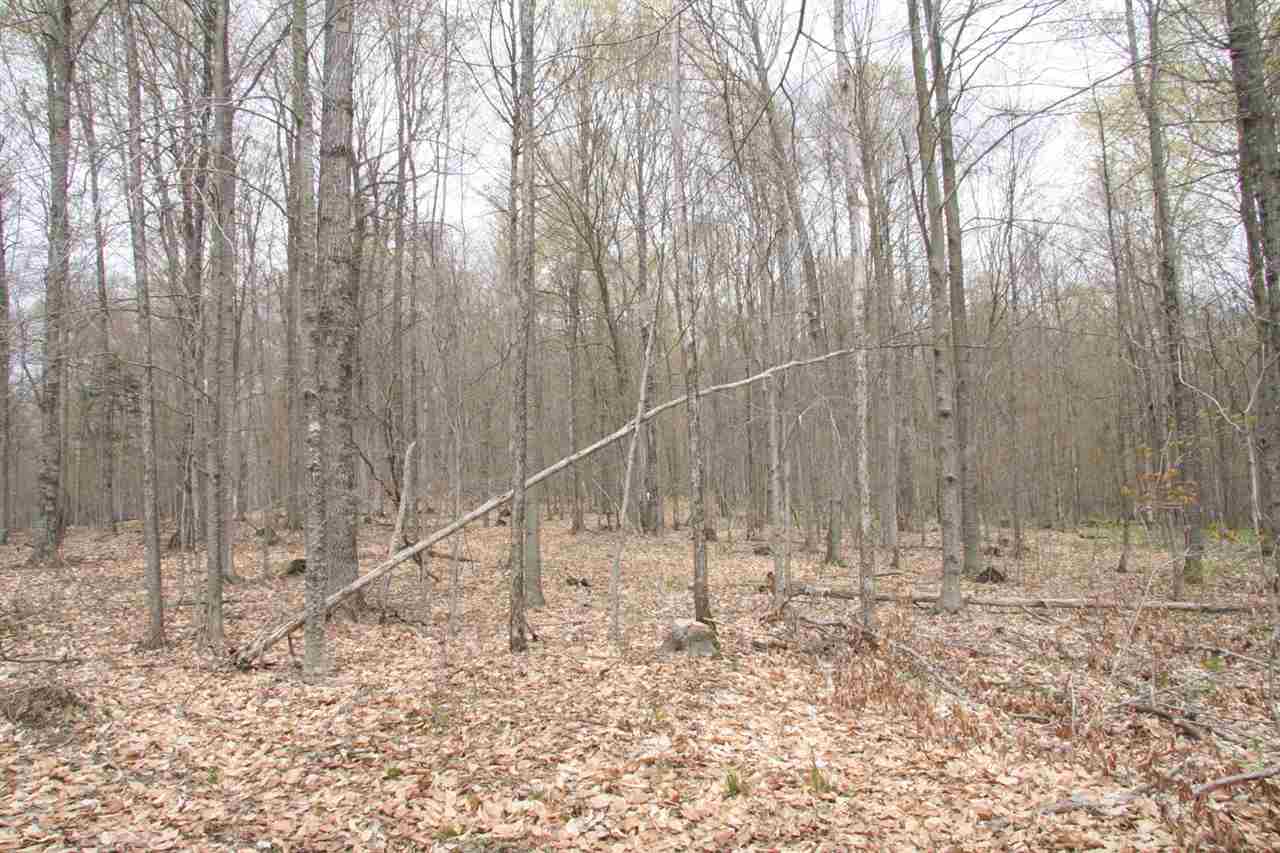 675 Hawkins Road Danville, VT 05828 - Photo 5 of 13 Gallery Image 5