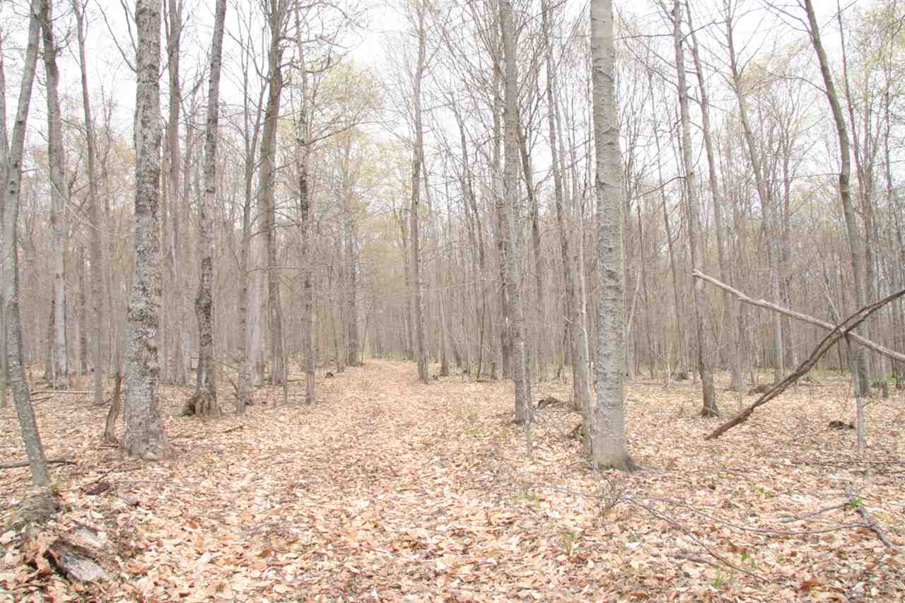 675 Hawkins Road Danville, VT 05828 - Photo 6 of 13 Gallery Image 6