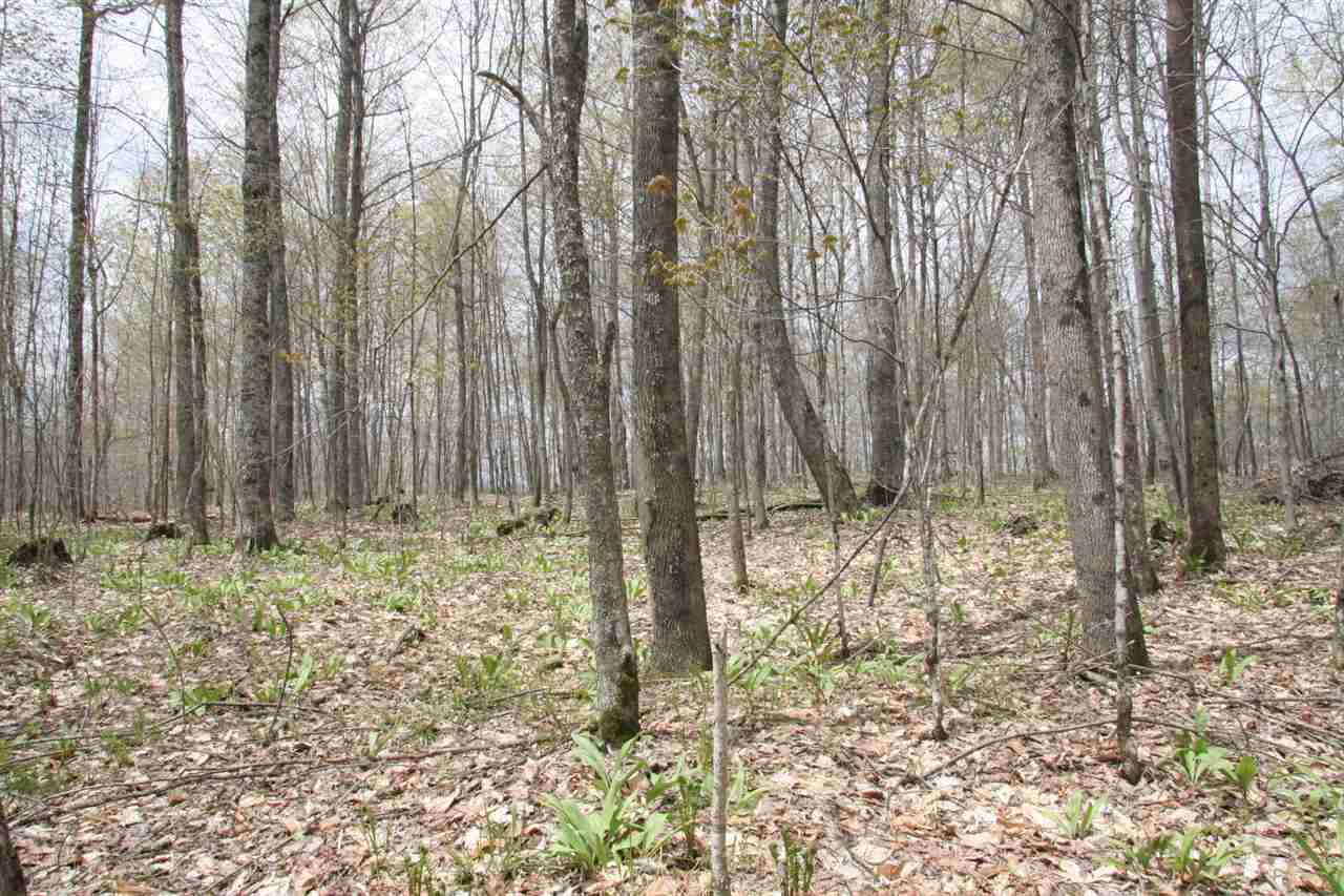675 Hawkins Road Danville, VT 05828 - Photo 8 of 13 Gallery Image 8