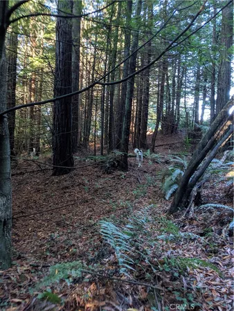 a view of outdoor space with trees