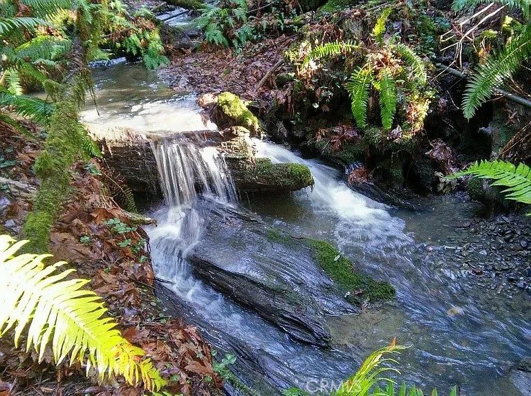 203 Pine Lane Carlotta, CA 95528 - Photo 3 of 12 a view of yard along with trees