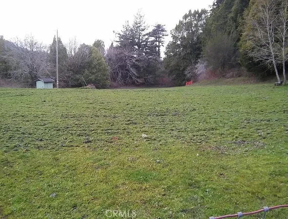 a view of a field with trees in the background