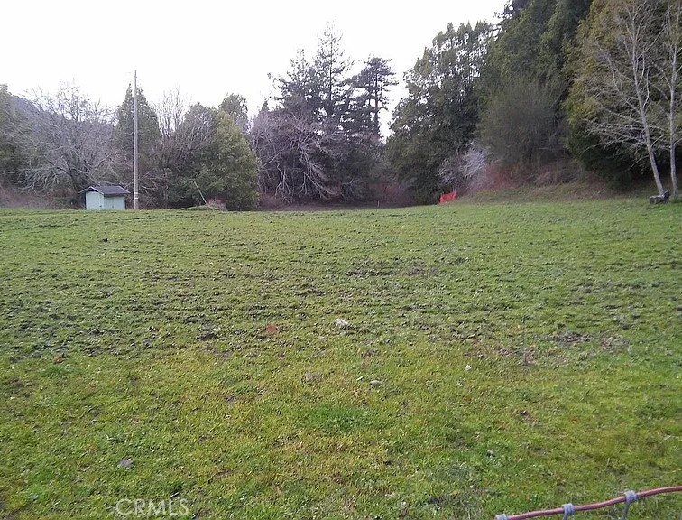 203 Pine Lane Carlotta, CA 95528 - Photo 6 of 12 a view of a field with trees in the background