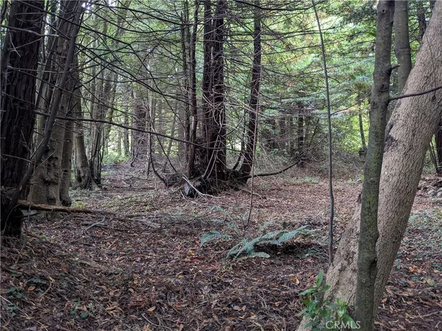 a view of backyard with green space