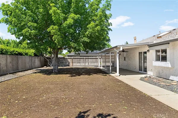 a view of a backyard with a tree