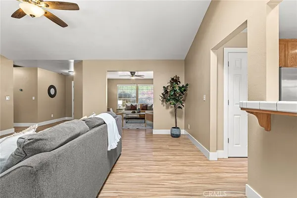 a living room with furniture and a potted plant