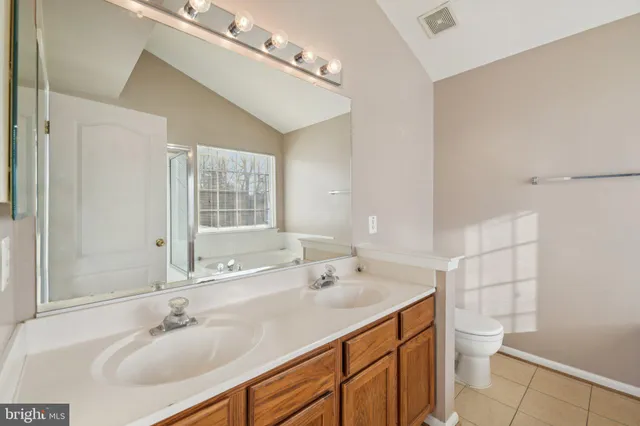 a bathroom with a double vanity sink toilet and a mirror