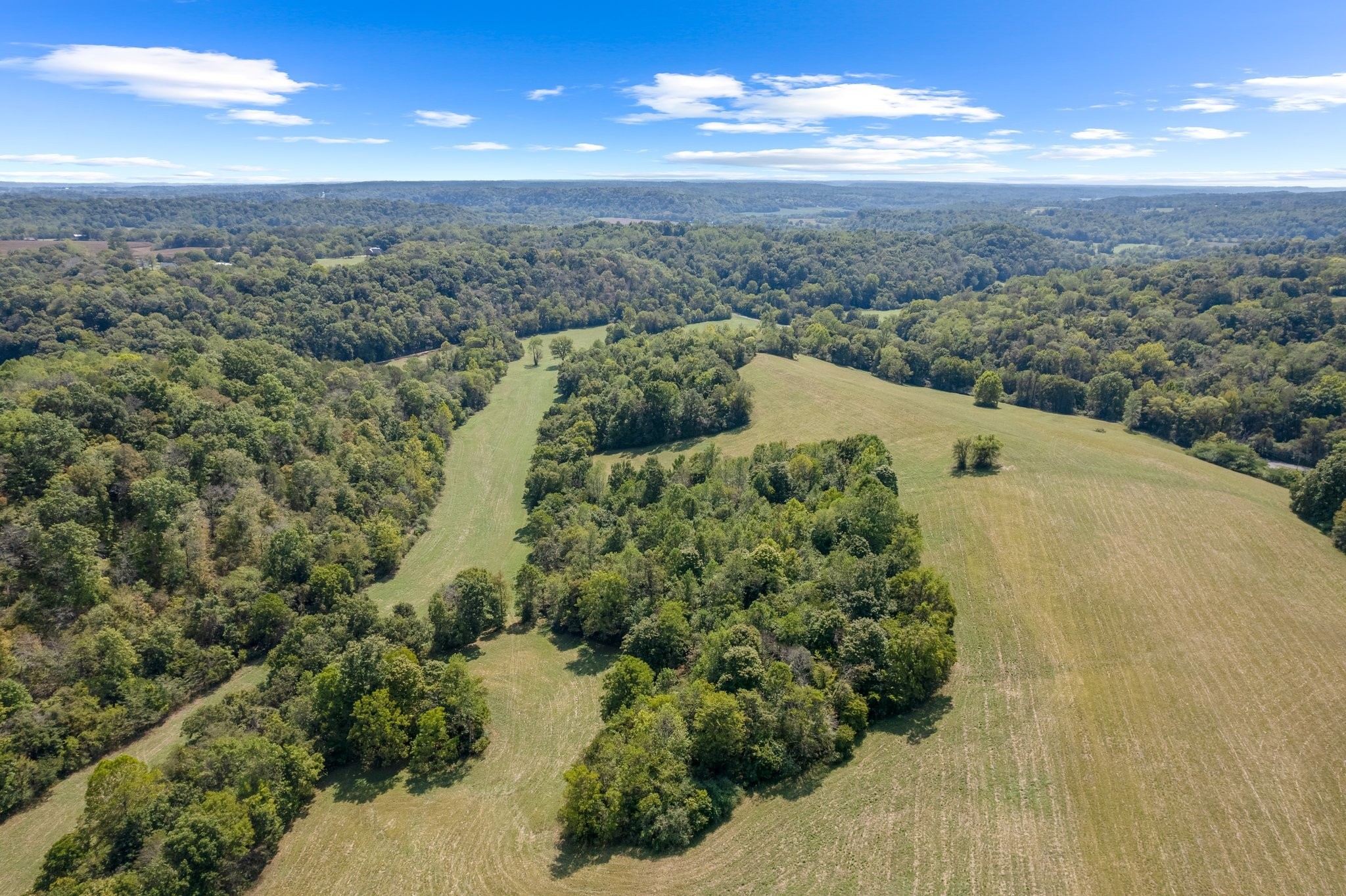 0 Grays Bend Road Centerville, TN 37033 - Photo 1 of 44 a view of a city