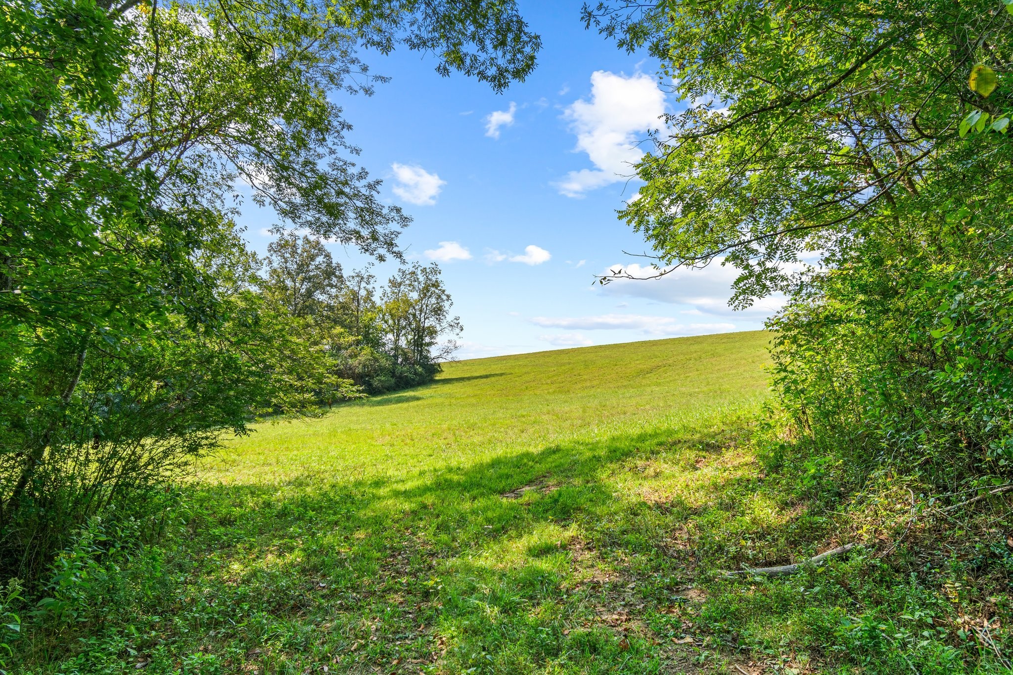 0 Grays Bend Road Centerville, TN 37033 - Photo 29 of 44 a view of an ocean from a yard