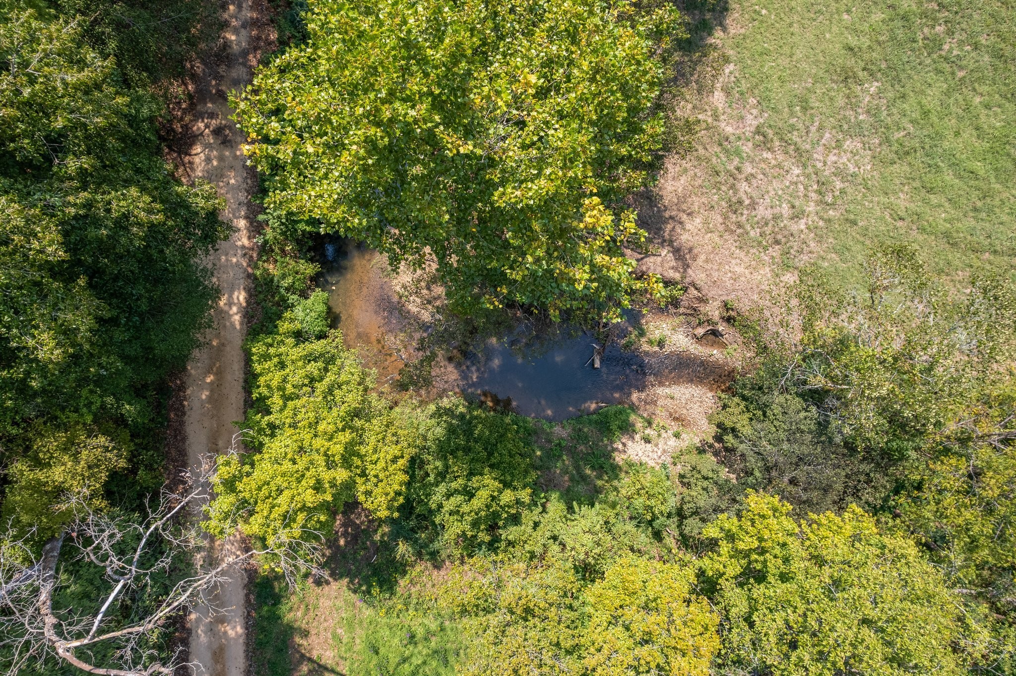 0 Grays Bend Road Centerville, TN 37033 - Photo 5 of 44 a backyard of a house with lots of green space and trees all around