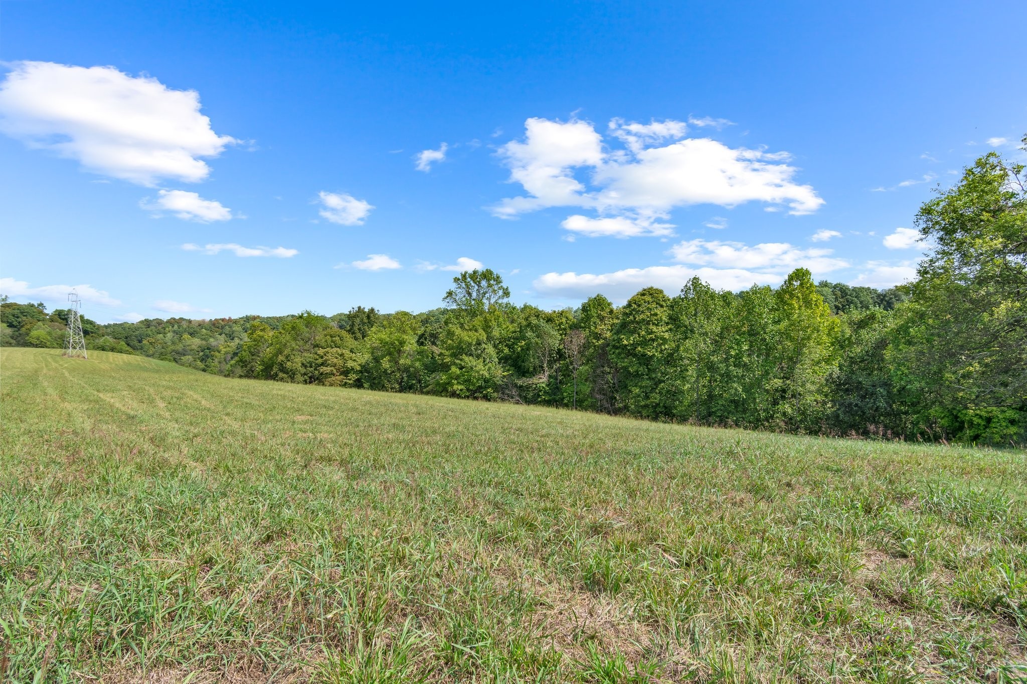 0 Grays Bend Road Centerville, TN 37033 - Photo 7 of 44 a view of an outdoor space and a yard